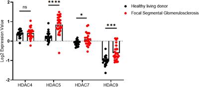 Selective Inhibition of Histone Deacetylase Class IIa With MC1568 Ameliorates Podocyte Injury